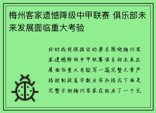 梅州客家遗憾降级中甲联赛 俱乐部未来发展面临重大考验