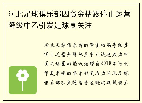 河北足球俱乐部因资金枯竭停止运营降级中乙引发足球圈关注